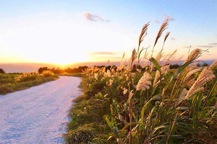 ロケーション写真